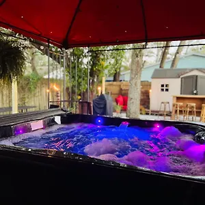 Tropical Casita In Near Airport And Raymond Stadium Apartment Tampa